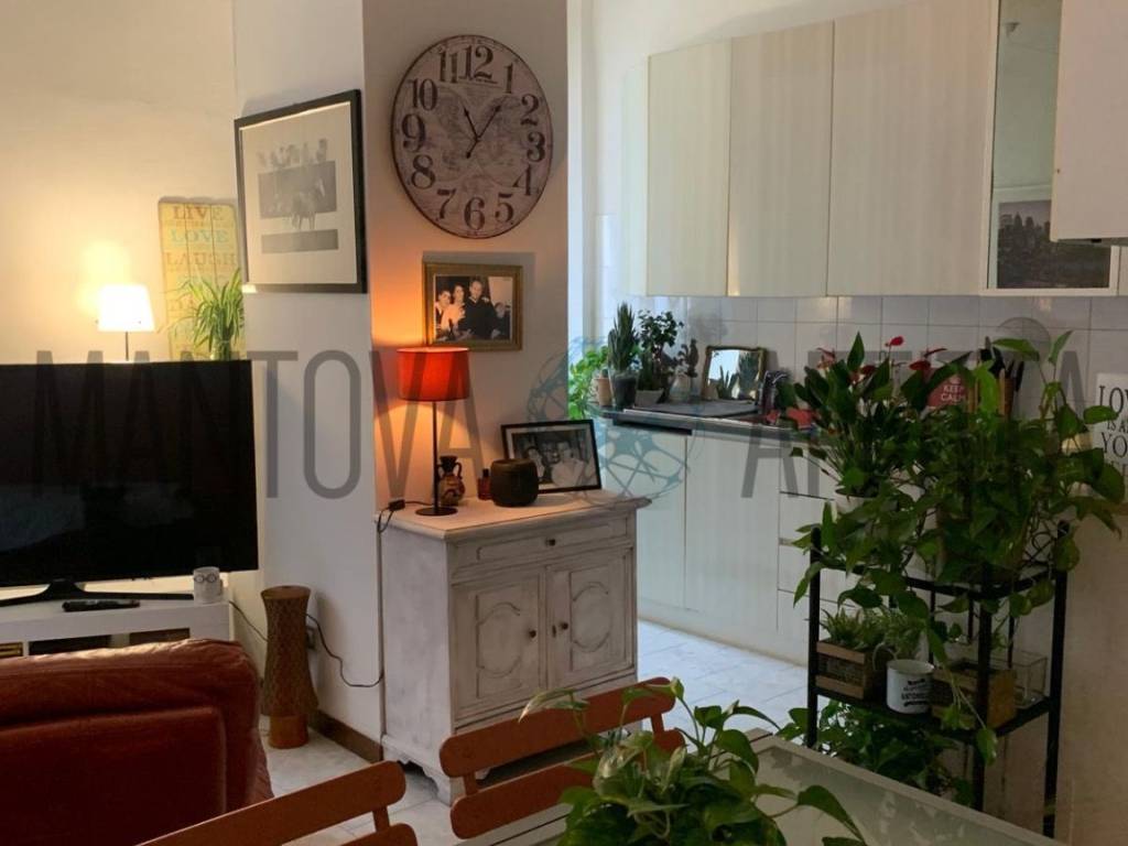 appartamento in affitto a Mantova