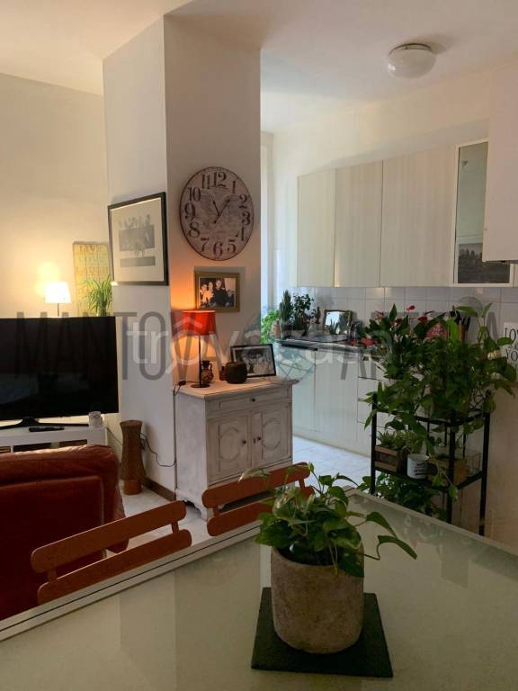 appartamento in affitto a Mantova in zona Centro Storico