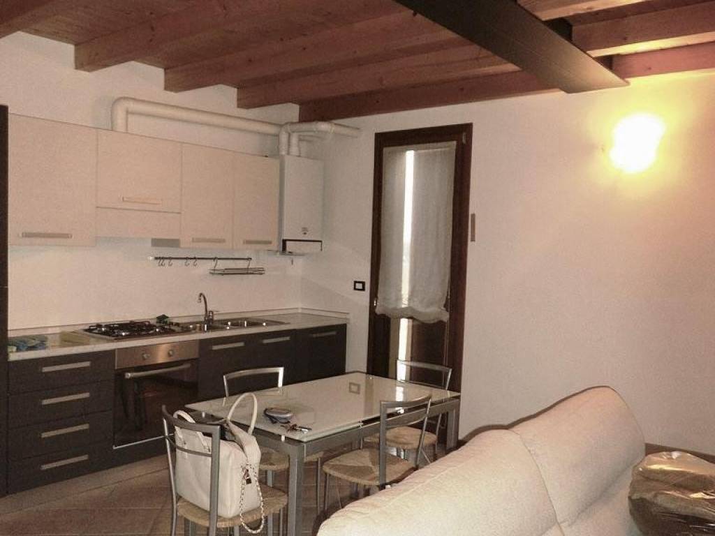 appartamento in affitto a Mantova in zona Lunetta-Frassino