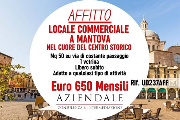 negozio in affitto a Mantova in zona Centro Storico