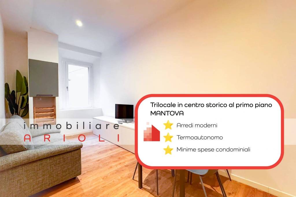 appartamento in affitto a Mantova in zona Centro Storico