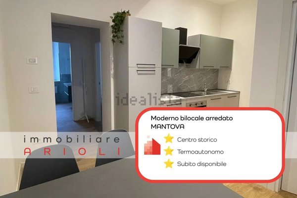 appartamento in affitto a Mantova in zona Centro Storico