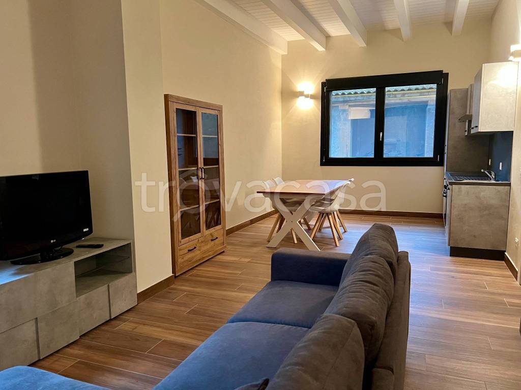 appartamento in affitto a Mantova in zona Cittadella