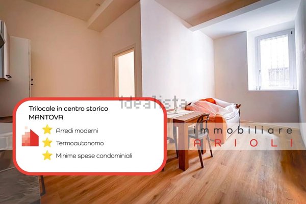 appartamento in affitto a Mantova in zona Centro Storico