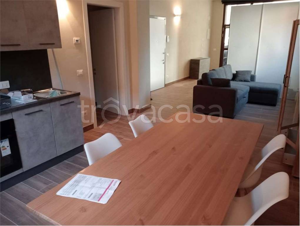 appartamento in affitto a Mantova in zona Cittadella