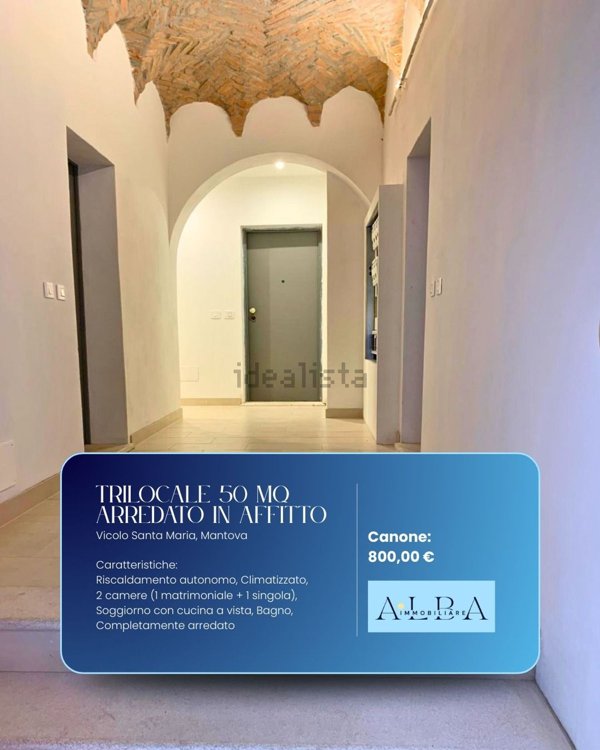 appartamento in affitto a Mantova