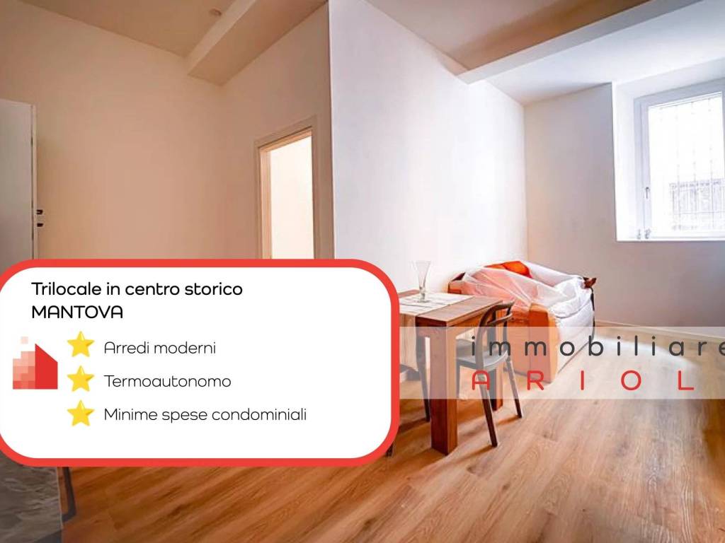 appartamento in affitto a Mantova in zona Centro Storico