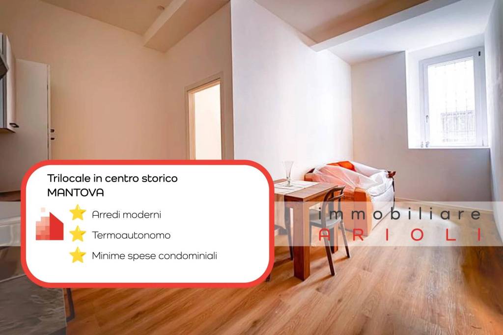 appartamento in affitto a Mantova in zona Centro Storico