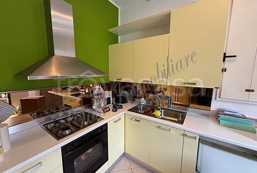 appartamento in affitto a Mantova in zona Tè Brunetti