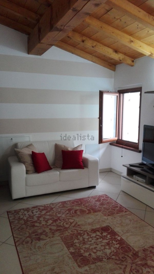 appartamento in affitto a Mantova