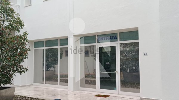 appartamento in affitto a Mantova in zona Valletta Paiolo