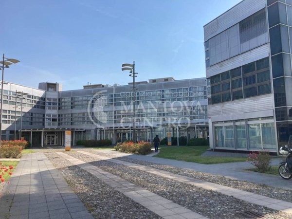 ufficio in affitto a Mantova in zona Lunetta-Frassino