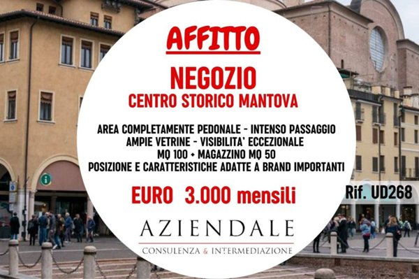 negozio in affitto a Mantova in zona Centro Storico