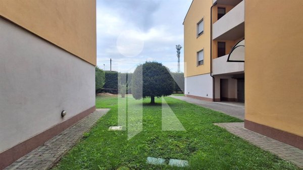 appartamento in affitto a Mantova