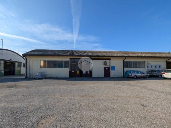 appartamento in affitto a Medole