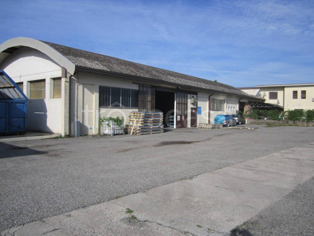 locale commerciale in affitto a Medole