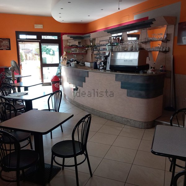 negozio in affitto a Pegognaga