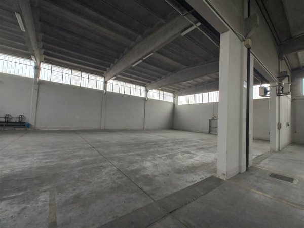 locale commerciale in affitto a Pegognaga