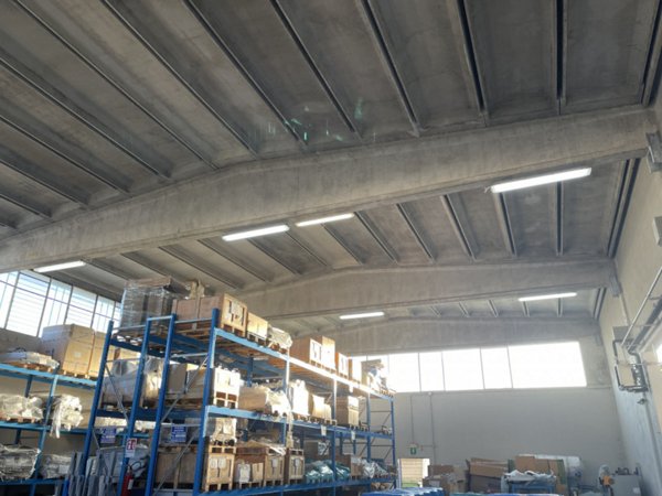 quadrivano in affitto a Pegognaga