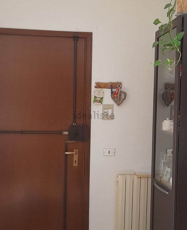 appartamento in affitto a Pegognaga