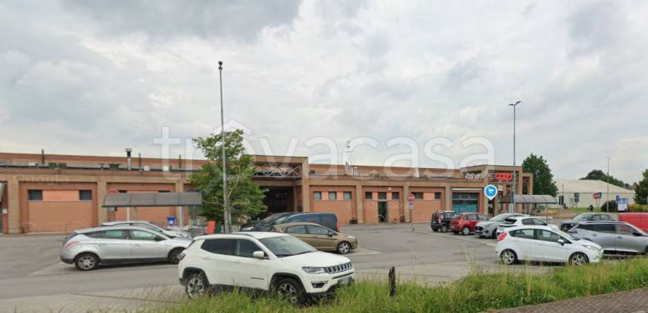 appartamento in affitto a Pegognaga