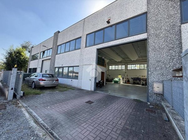 appartamento in affitto a Pegognaga