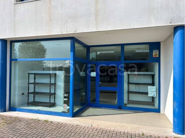 appartamento in affitto a Porto Mantovano in zona Sant'Antonio