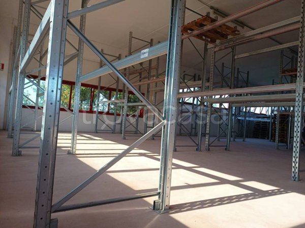 appartamento in affitto a Sabbioneta