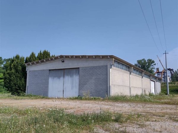 negozio in affitto a San Benedetto Po