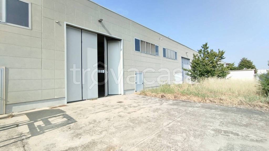 locale commerciale in affitto a San Benedetto Po