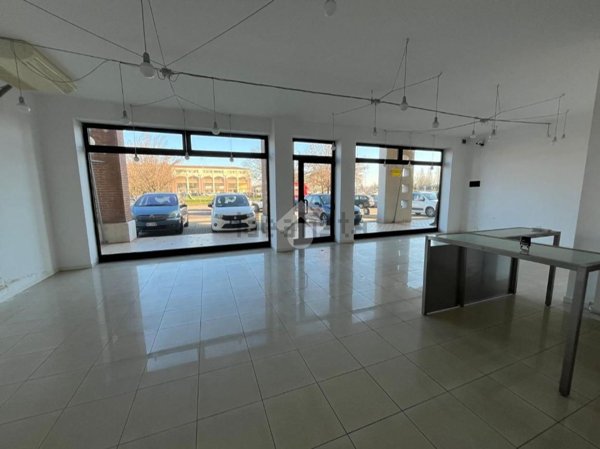 appartamento in affitto a San Giorgio Bigarello in zona Mottella