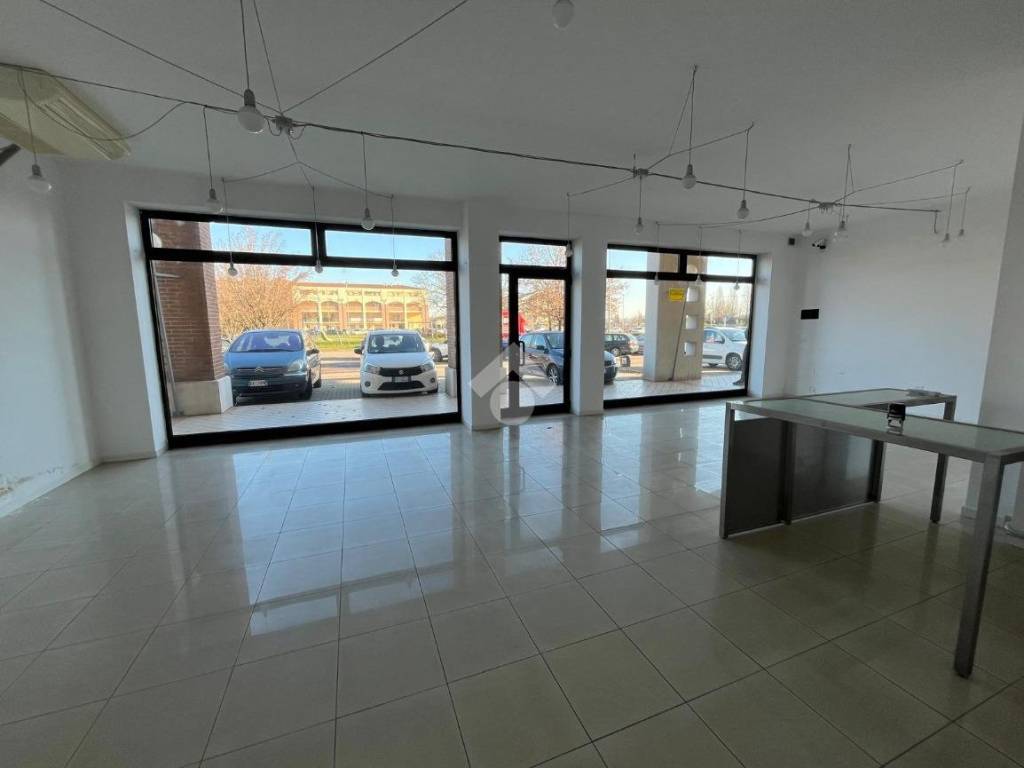 appartamento in affitto a San Giorgio Bigarello in zona Bigarello