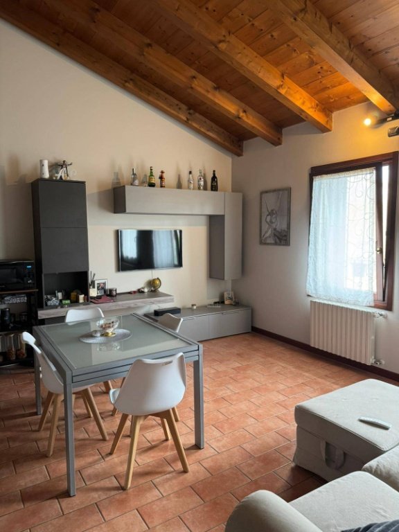 appartamento in affitto a San Giorgio Bigarello in zona Bigarello