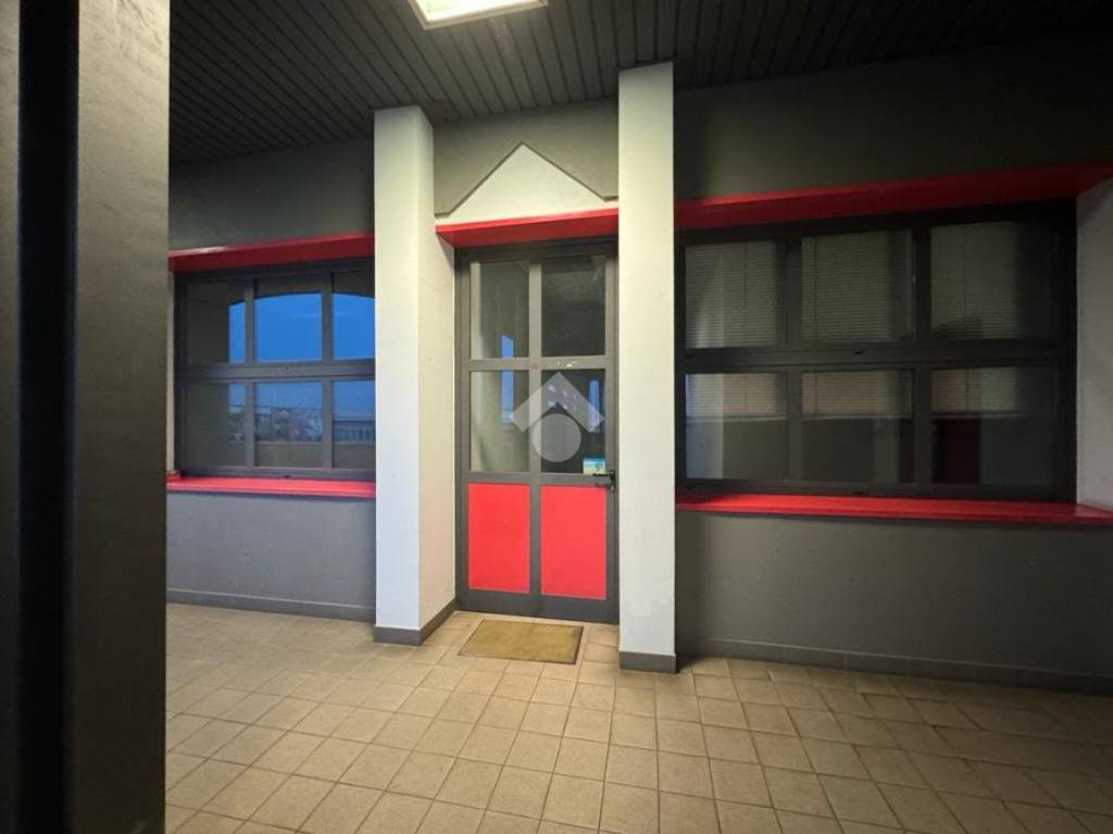 appartamento in affitto a San Giorgio Bigarello in zona Mottella