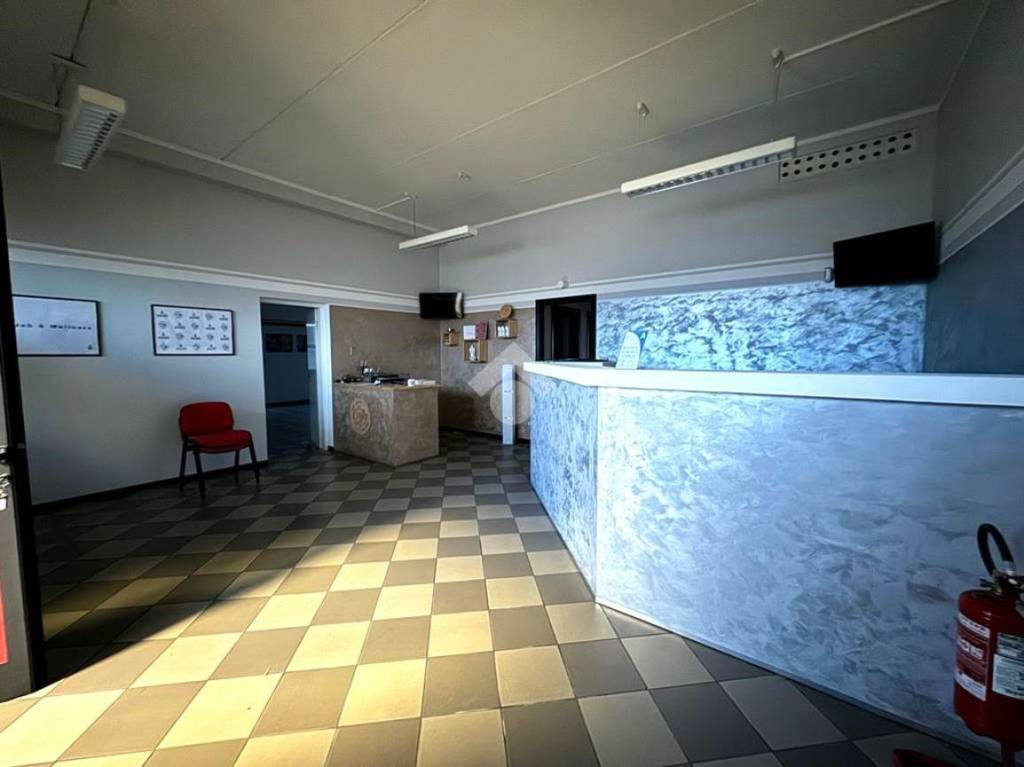 appartamento in affitto a San Giorgio Bigarello in zona Mottella