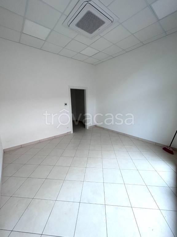 appartamento in affitto a Suzzara