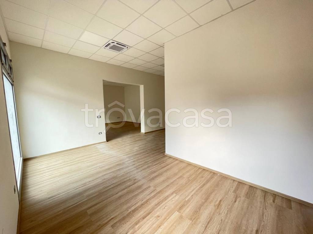 negozio in affitto a Suzzara