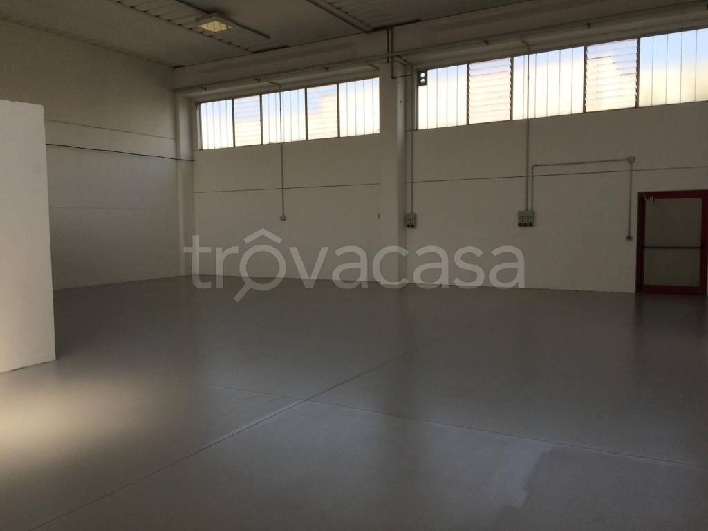 appartamento in affitto a Suzzara