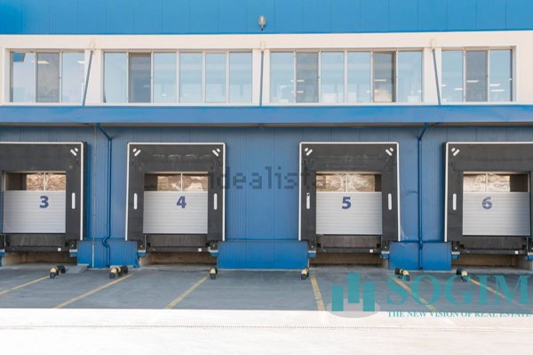 locale di sgombero in affitto a Suzzara