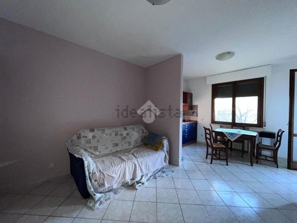 appartamento in affitto a Suzzara