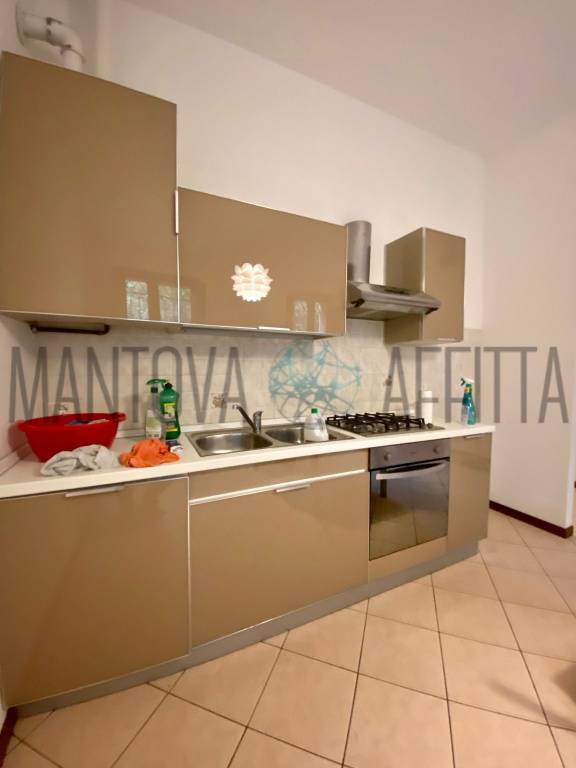 appartamento in affitto a Villimpenta
