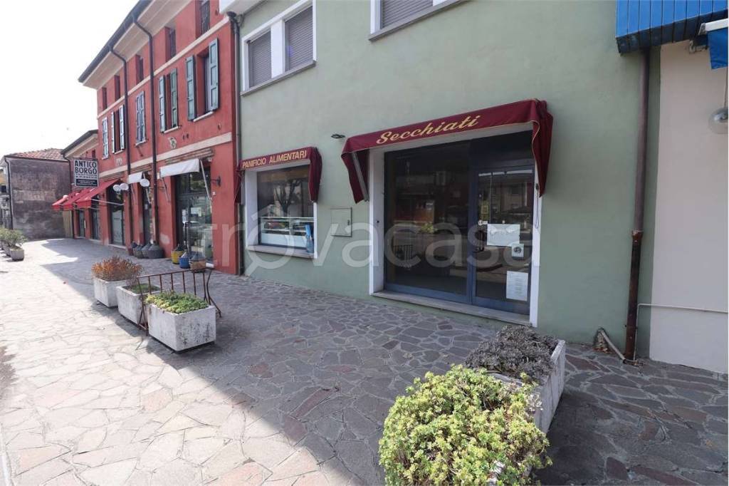 appartamento in affitto a Borgo Virgilio in zona Virgilio