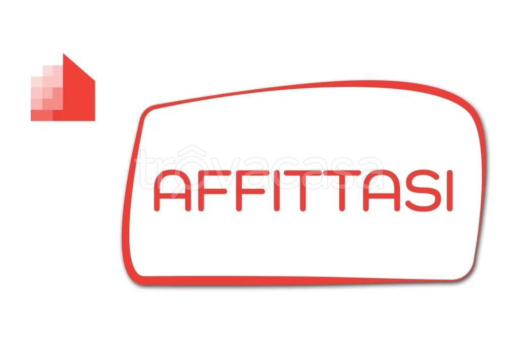 appartamento in affitto a Borgo Mantovano in zona Revere