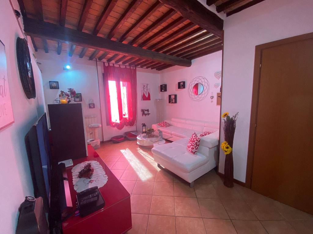 appartamento in affitto a Borgo Mantovano in zona Revere