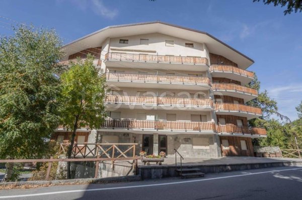 immagine annuncio 0 di 15