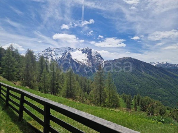 appartamento in affitto a Sestriere