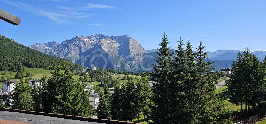 appartamento in affitto a Sestriere