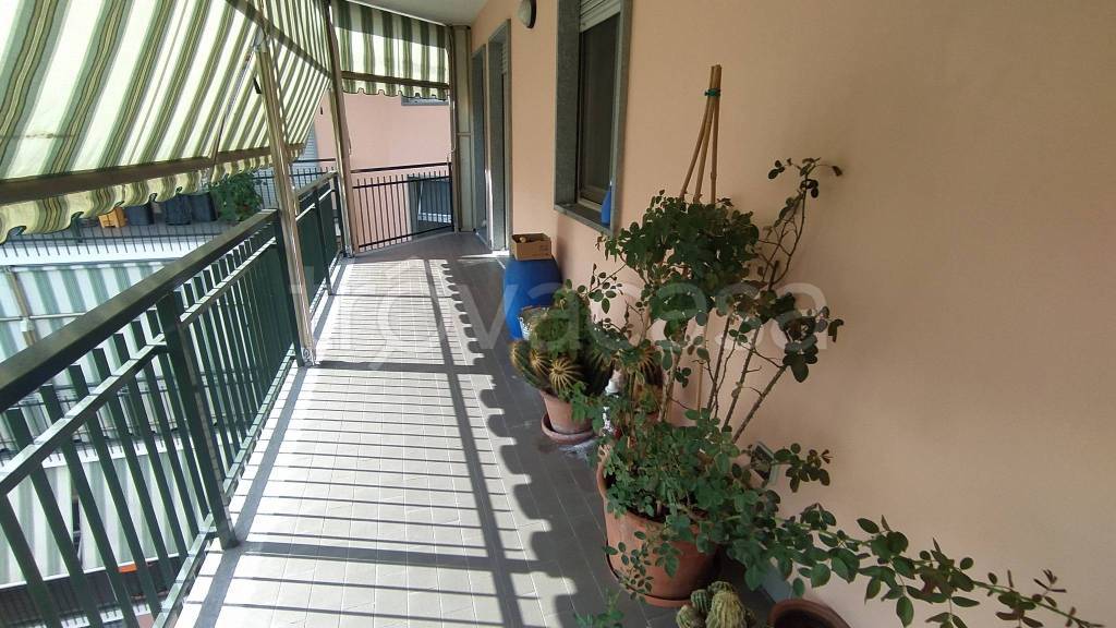 immagine annuncio 0 di 15