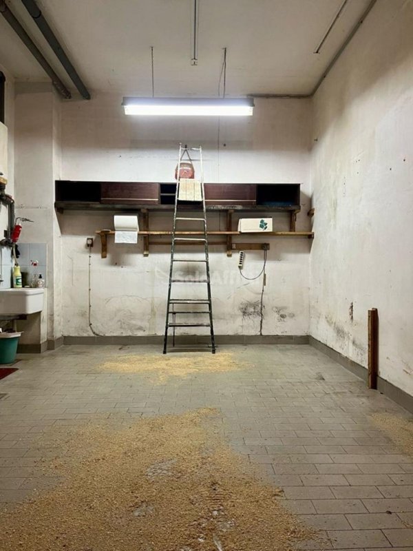 appartamento in affitto a Torino in zona Parella