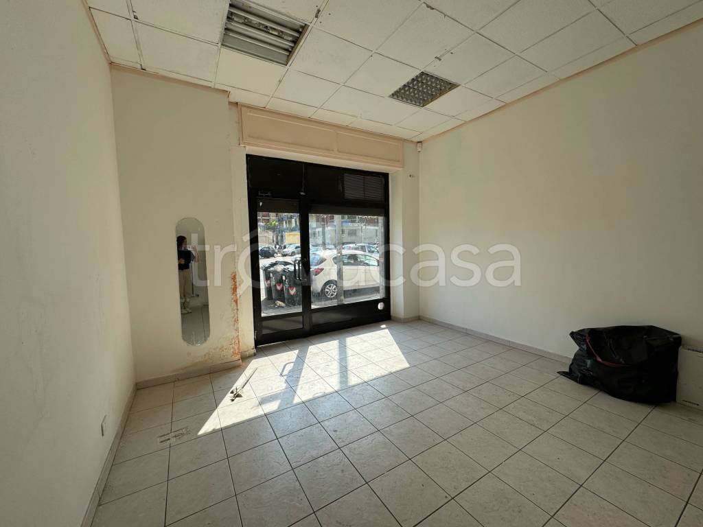 appartamento in affitto a Torino in zona Cenisia